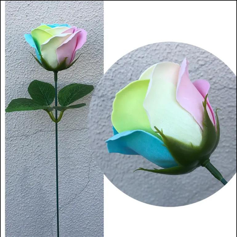Spilewka 6X7cm Colorful Rose A - Supply Event ulasan dan harga
